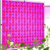 Växtbelysning 225 LED Panel | Odlingslampa för Optimal Växtutveckling