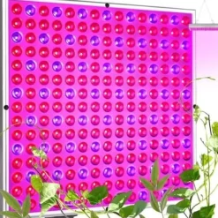 Växtbelysning 225 LED Panel | Odlingslampa för Optimal Växtutveckling