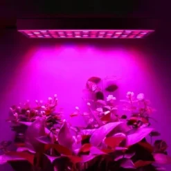Växtbelysning 225 LED Panel | Odlingslampa för Optimal Växtutveckling