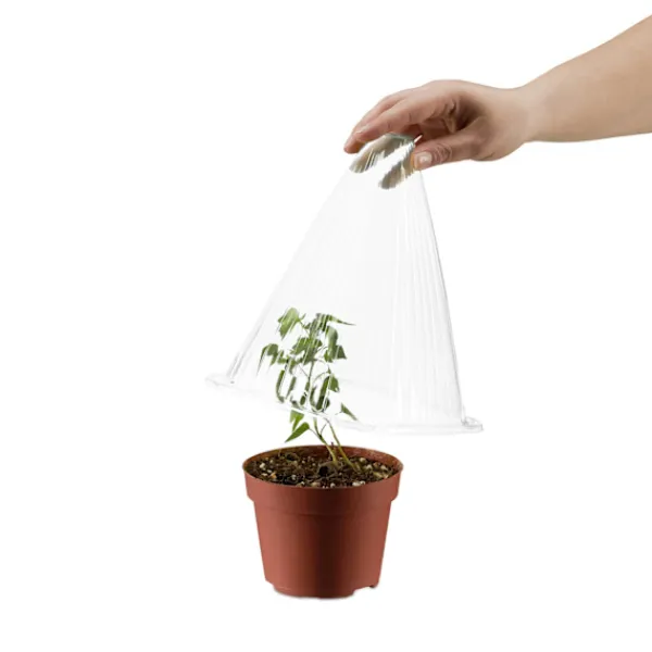 Discount Växthatt 24 stycken Kit För Växt- & Örtplantering