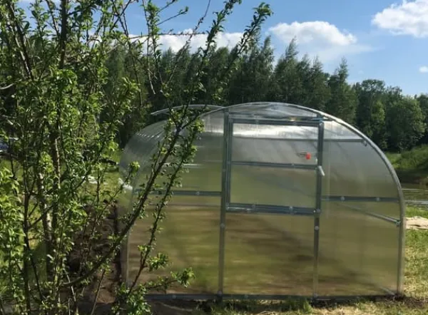 Baumera Växthus BALTIC 3x6m med 6 mm polykarbonatbeläggning