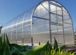 Sale Växthus Klasika 3x4m med 4 mm polykarbonatbeläggning Växthus