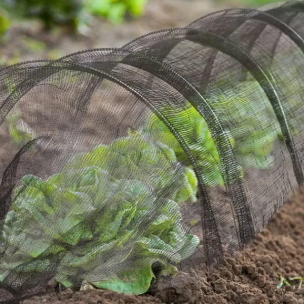 Sale Växthustunnel, 50x60x500 cm, Svart Växthus