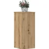 Outlet Växtställ 2 st ek 30x30x70 cm konstruerat trä Växtställ