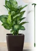 Hot Växtställ - Support för Växter/Blommor i jord - 37 cm Krukväxter Inomhus