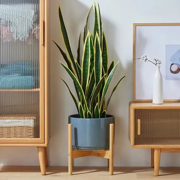 Clearance Växtställning, Bambumaterial, Mått 50cm x 30cm x 80cm, Viktkapacitet 20kg per hylla, Inomhus- och utomhuskompatibilitet, Självständig installation Växtställ
