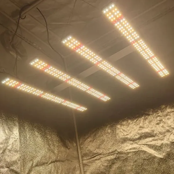 Best 240W Full Spectrum Växtbelysning, Utökat Täckningsområde, Energisnål,240W Kit För Växt- & Örtplantering