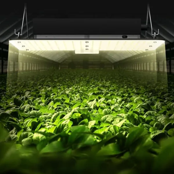 Clearance 300W kvantbräda LED odlingsväxtljus, fullspektrum, låg energiförbrukning/värme/ljud, för alla tillväxtstadier, enkel installation/justering Kit För Växt- & Örtplantering
