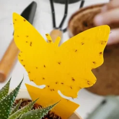 12x Insektsfällor till Plantor Skadedjursfällor